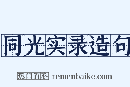 同光实录造句是什么意思的图片